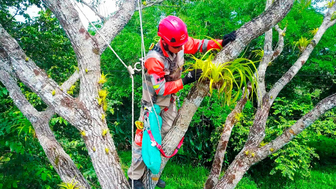 A raíz de los pronunciamientos de diferentes sectores de la comunidad en medios de comunicación regionales respecto a las labores de aprovechamiento forestal desarrolladas entre los municipios de Villavicencio y Cumaral- denominada Unidad Funcional 1 del proyecto “Corredor vial Villavicencio- Yopal”, la Concesionaria Vial del Oriente se permite aclarar a la opinión pública que:   […]